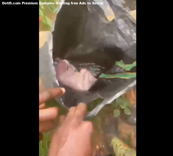 Newborn baby abandoned in Bagco bag by gutter in Ijebu Ode sparks outrage