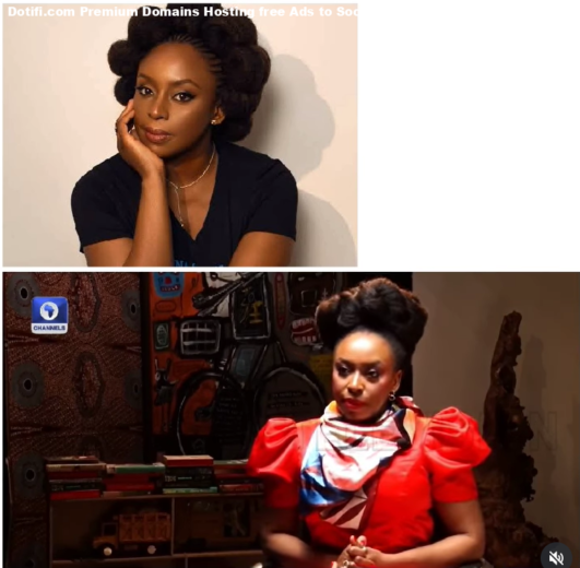 Middle-class are now begging to survive  Nigerian author Chimamanda Adichie laments Nigerias economic hardship